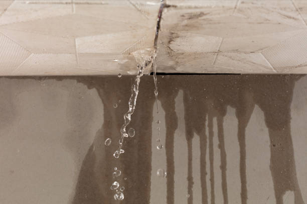 Professional Sewage Cleanup technician working in Largo, FL